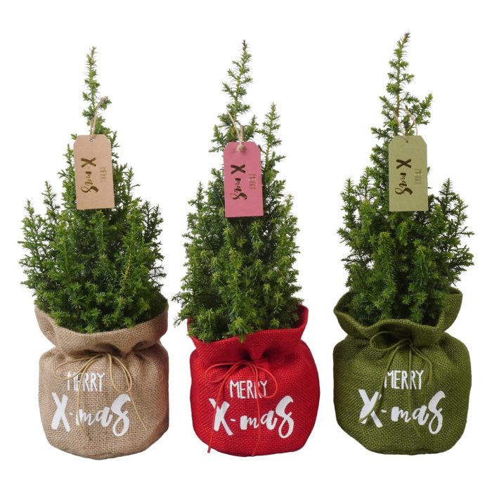 PTK261003 Top Point in jute mix met decoratie, D 13