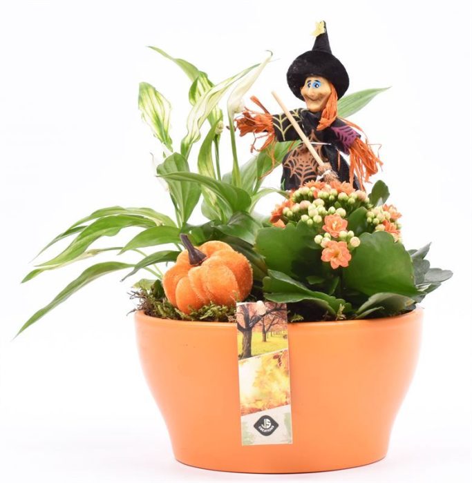 Keramiek schaal oranje 18cm, D 18