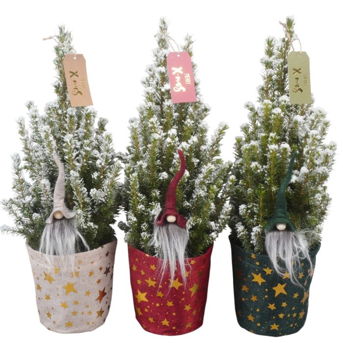 PTK26335 Conica Perfecta met sneeuw in jute potcover mix met decoratie, D 13