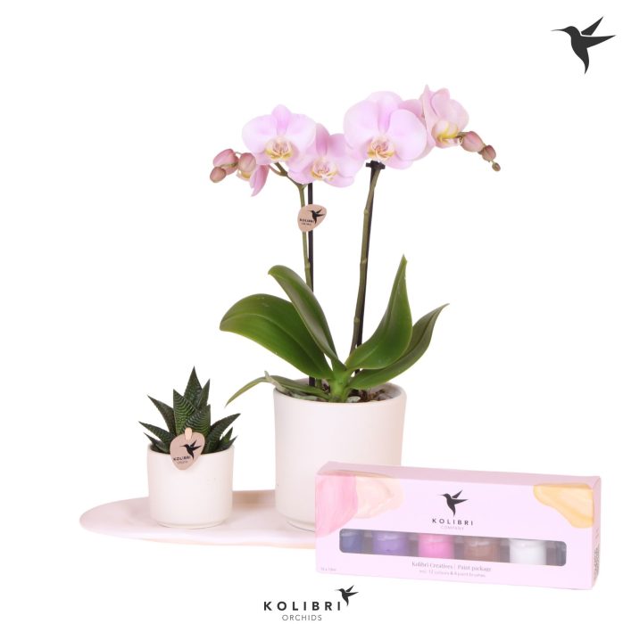 Kolibri Gift Set small Painting, D 18