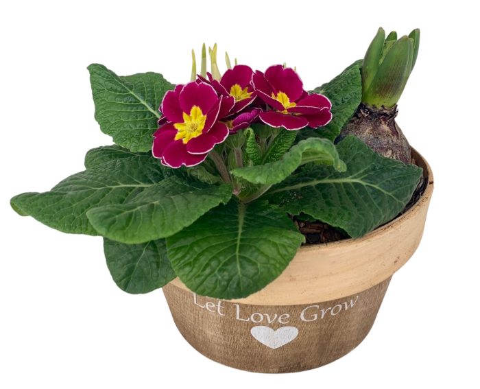 Love Rond Hout 1 prim 1x tet 1x hys 540, D 20