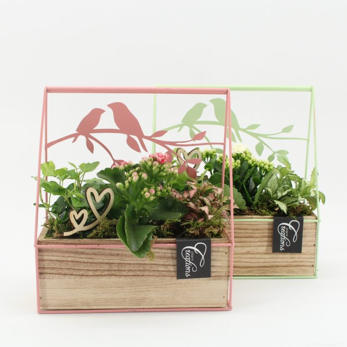 MDCR-2621M Mother's day Essentials, D 23