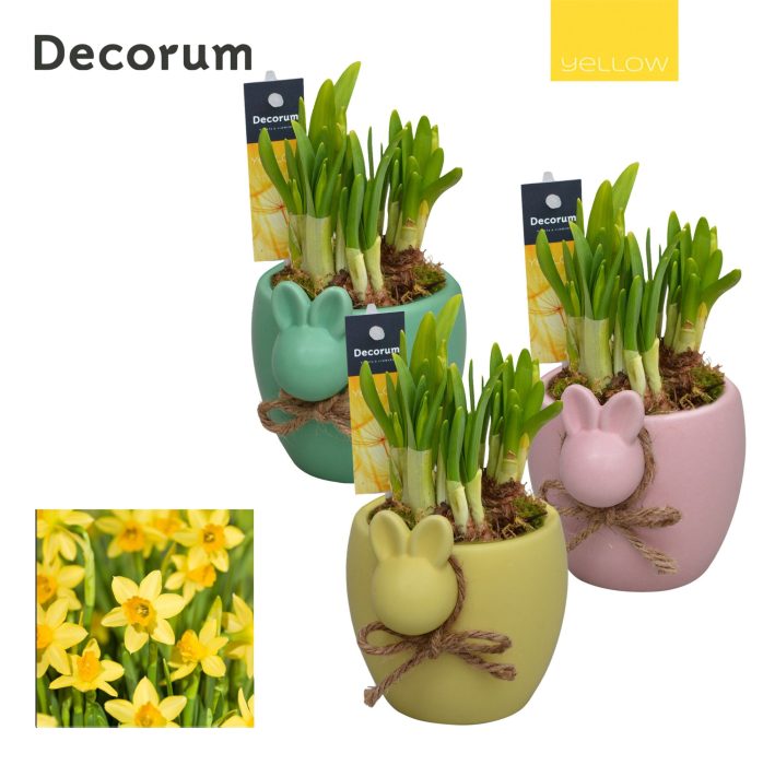 Narcis Bunny HL13275 [YELLOW], D 10