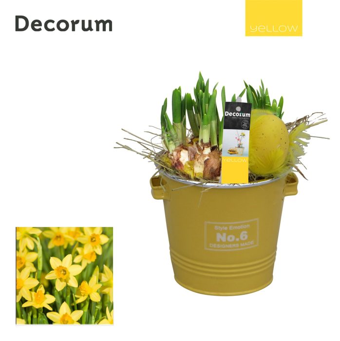 Narcis Colourful Bucket HL16585 [YELLOW], D 13