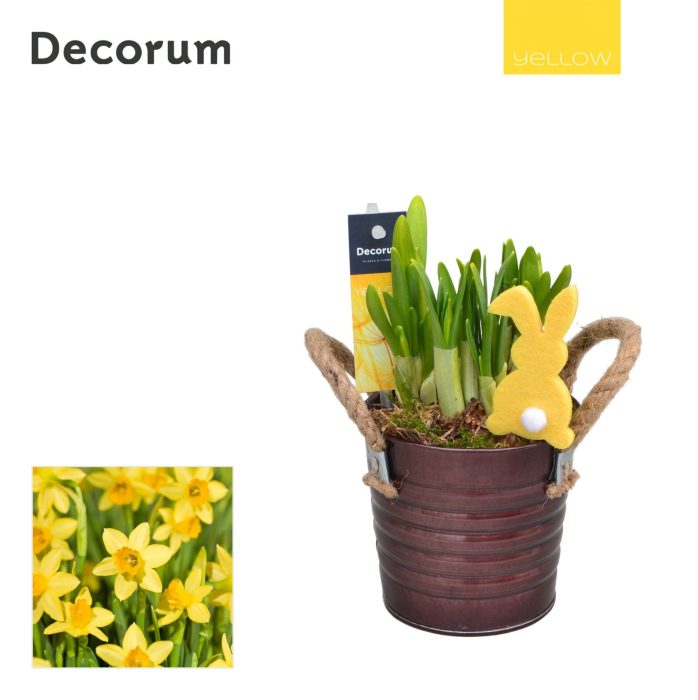 Narcis Copper Bucket HL15605 [YELLOW], D 10