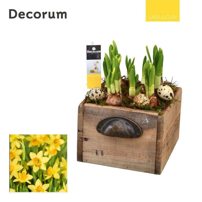 Narcis Wooden Drawer HL10755 [YELLOW], D 14
