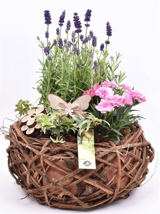 Natuur krans br. 26cm, D 26