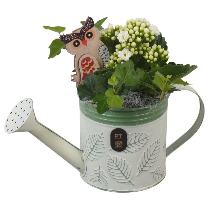 PTHI3389 Arrangement Autumn Indoor in metalen gieter, D 11