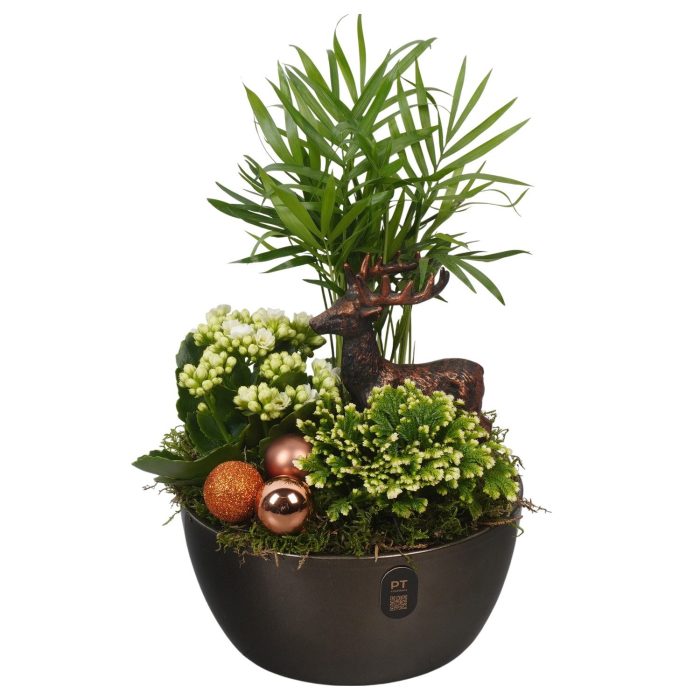 PTCHB5866 Arrangement Christmas Bronze in keramiek schaal, D 18