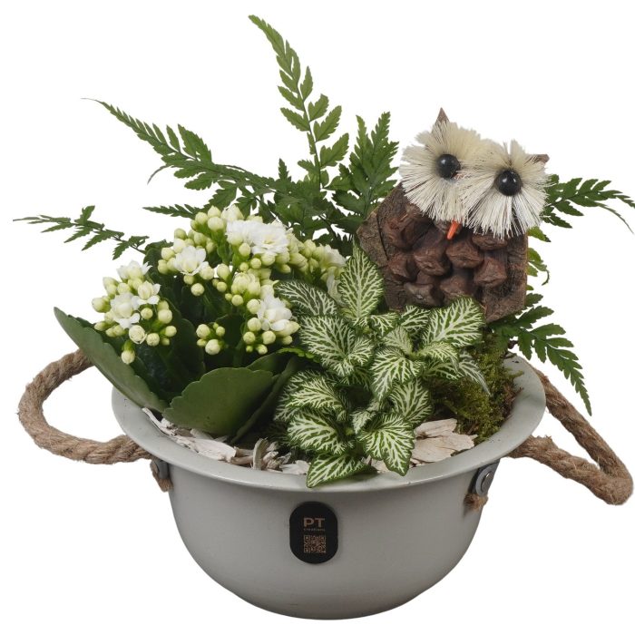 PTHI3377 Arrangement Autumn Indoor in metalen schaal, D 16