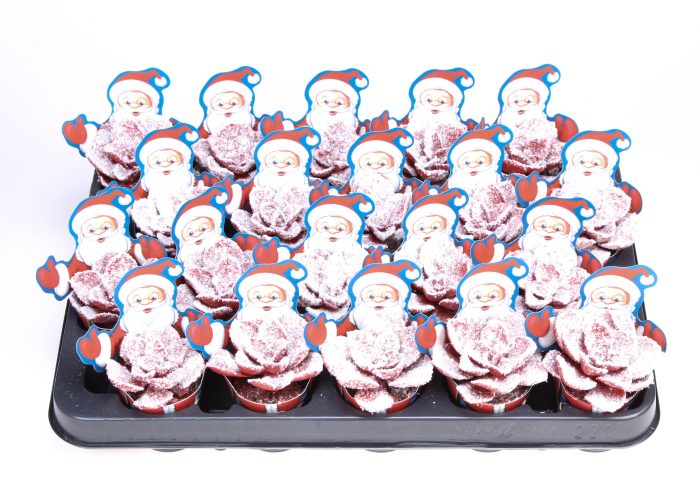 Potcover santaclaus parel snowy + bio snow, D 5,5