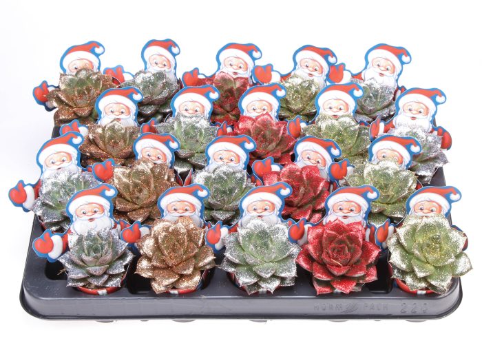 Potcover santaclaus purper naturel glittermix, D 5,5