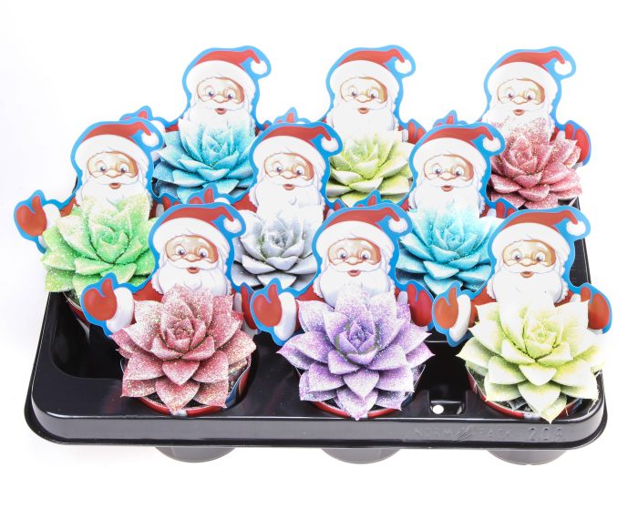 Potcover santaclaus purper wit+glitter, D 8,5