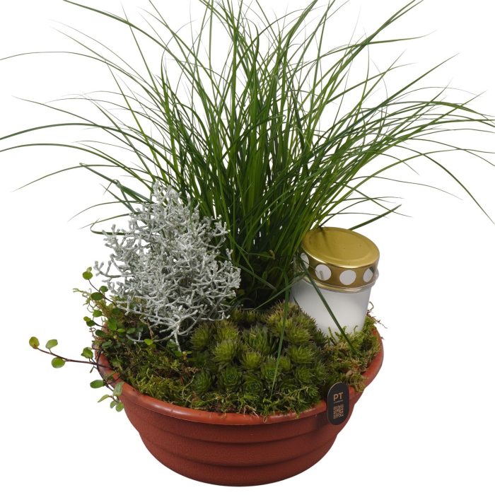 PTAH3072 Arrangement Allerheiligen in plastic schaal, D 21