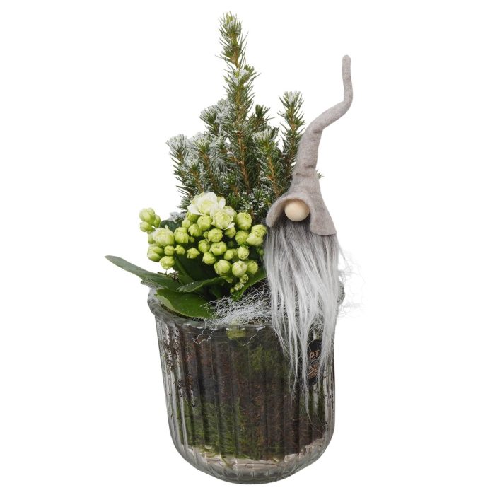 PTCHB5804 Arrangement Christmas Bronze in glazen vaas, D 12
