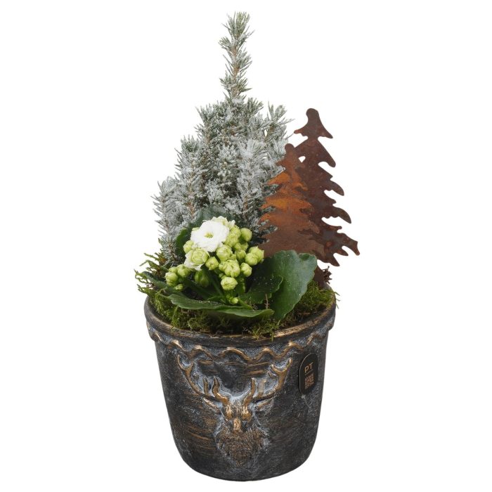 PTCHB5861 Arrangement Christmas Bronze in beton pot, D 14