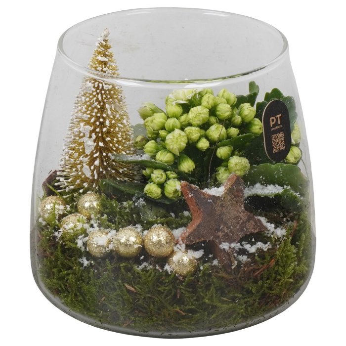 PTCHG4621 Arrangement Christmas Gold in glazen vaas, D 14