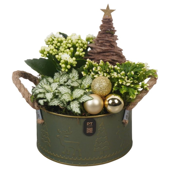 PTCHG4650 Arrangement Christmas Gold in metalen pot, D 16