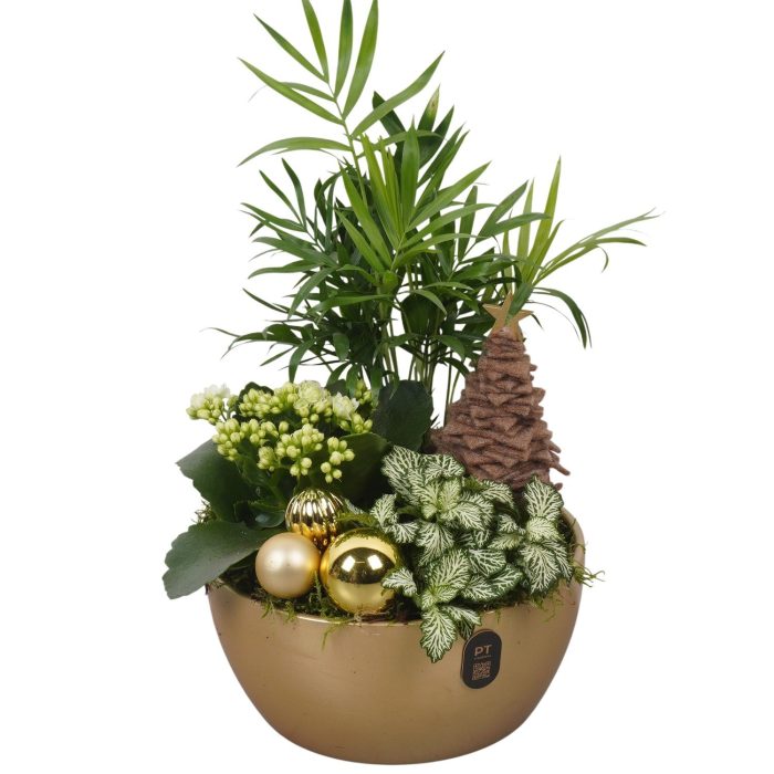 PTCHG4681 Arrangement Christmas Gold in keramiek schaal, D 18