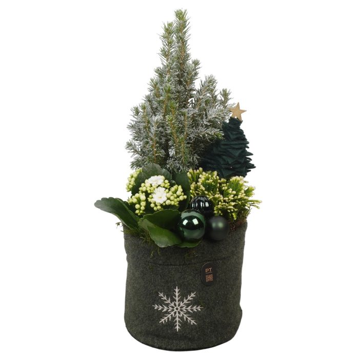 PTCHGR1942 Arrangement Christmas Green in stoffen zak, D 17