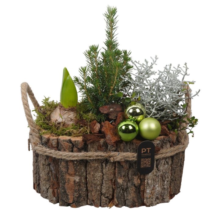 PTCHO5416 Arrangement Christmas Outdoor in houten bak, D 21