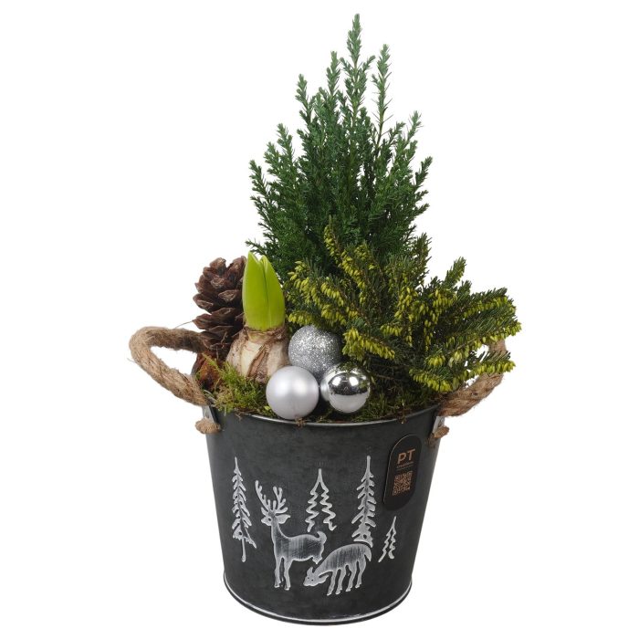 PTCHO5501 Arrangement Christmas Outdoor in metalen pot, D 16