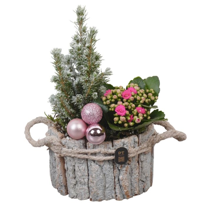 PTCHP8426 Arrangement Christmas Pink in houten bak, D 17