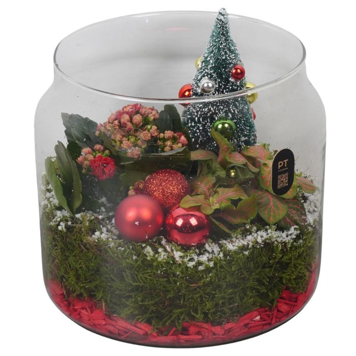 PTCHR9520 Arrangement Christmas Red in glazen vaas, D 19