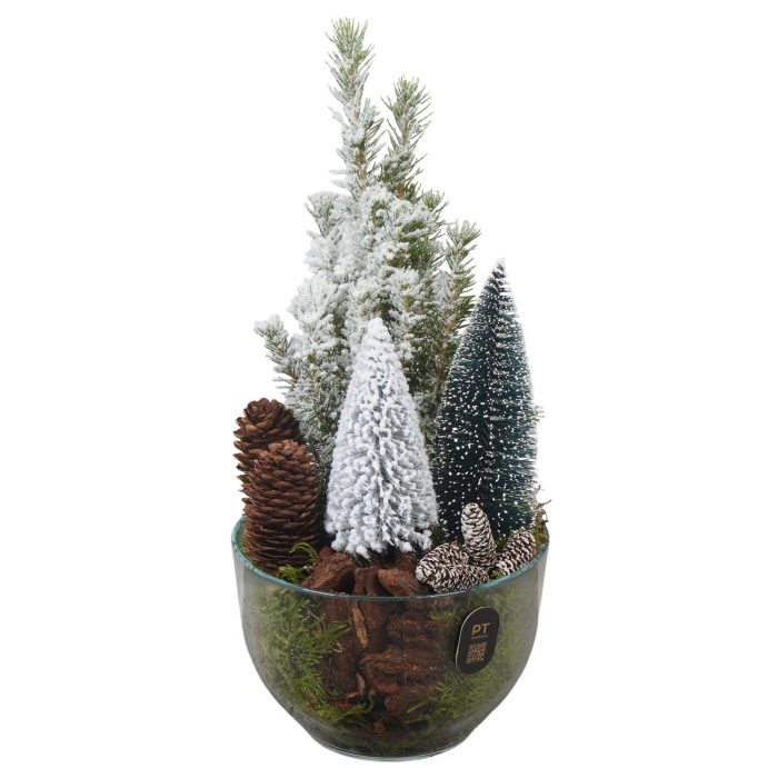 PTCWW7745 Arrangement Winter in glas schaal, D 13