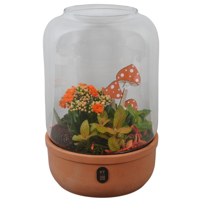 PTHG8245 Arrangement Autumn Glass in glazen terrarium, D 20
