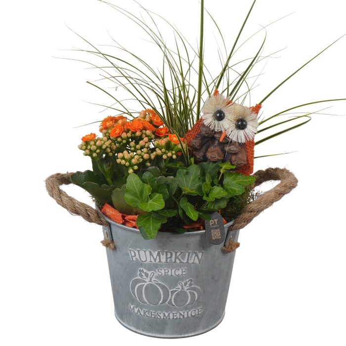 PTHI3398 Arrangement Autumn Indoor in metalen pot, D 14