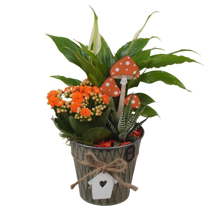 PTHI3416 Arrangement Autumn Indoor in metalen pot, D 12