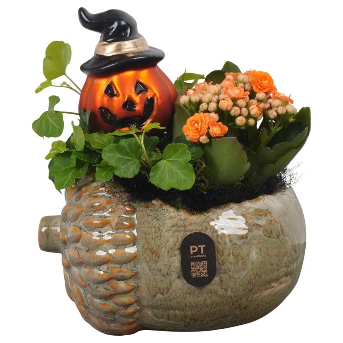 PTHL3511 Arrangement Halloween in keramiek eikel pot, D 15