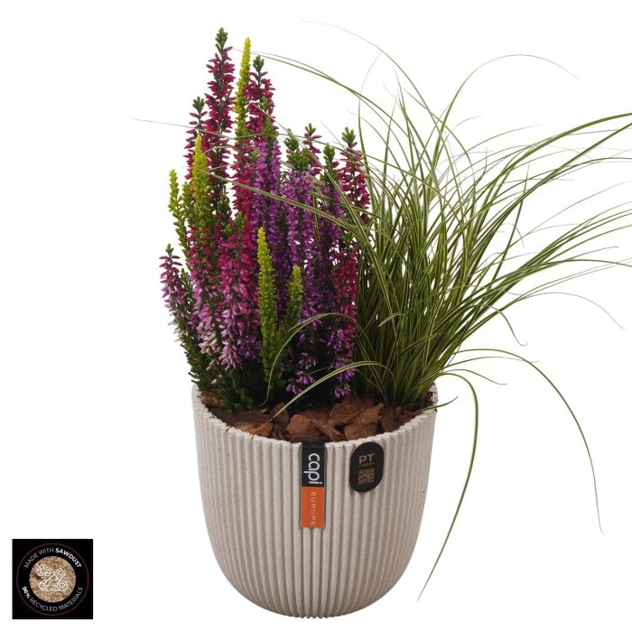 PTHO7685 Arrangement Autumn Outdoor in capi pot, D 13