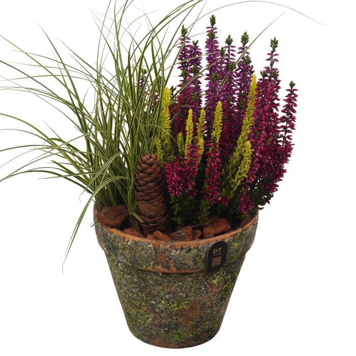 PTHO7707 Arrangement Autumn Outdoor in terracotta pot, D 14