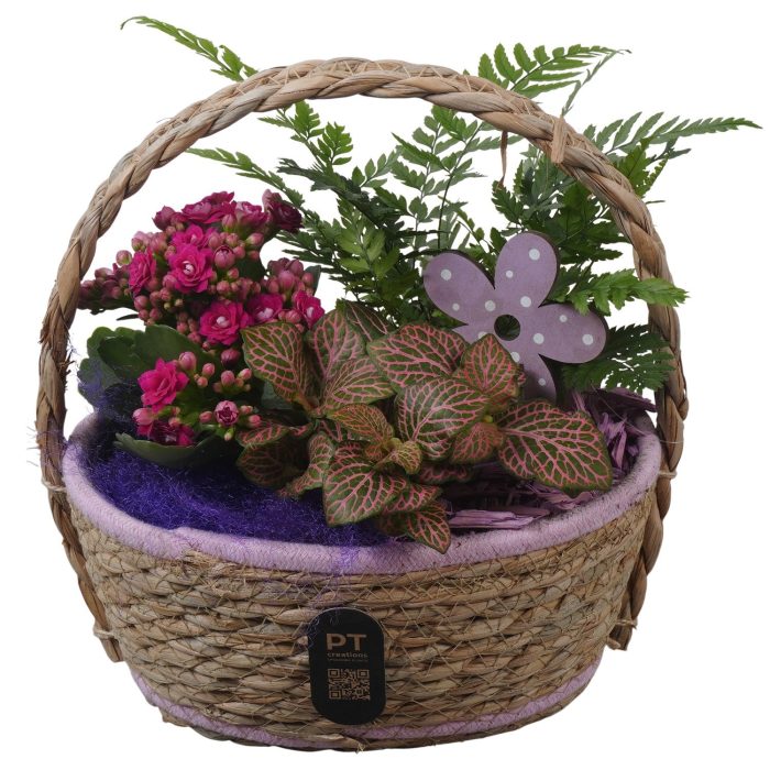 PTIB5249 Arrangement Indoor in rieten hengselmand, D 20