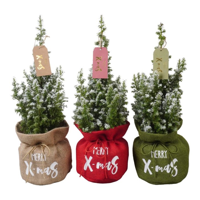 PTK261004 Top Point met sneeuw in jute mix met decoratie, D 13