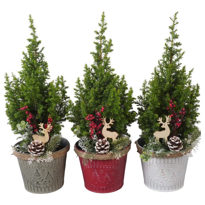 PTK261007 Top Point in zink mix met decoratie, D 14