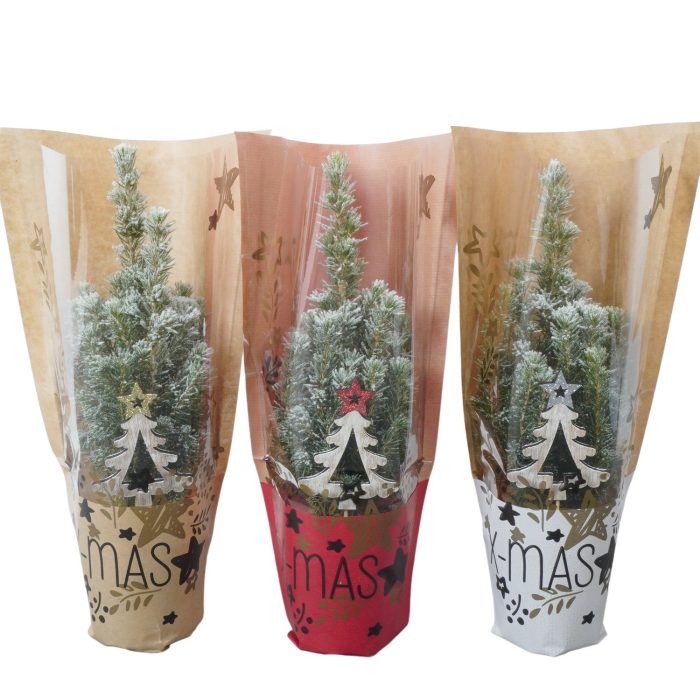 PTK26104 Conica Perfecta met sneeuw, kersthoes en decoratie, D 9