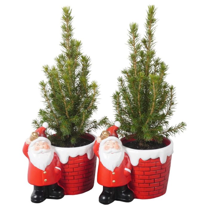 PTK26170 Conica Perfecta in keramiek pot, D 15