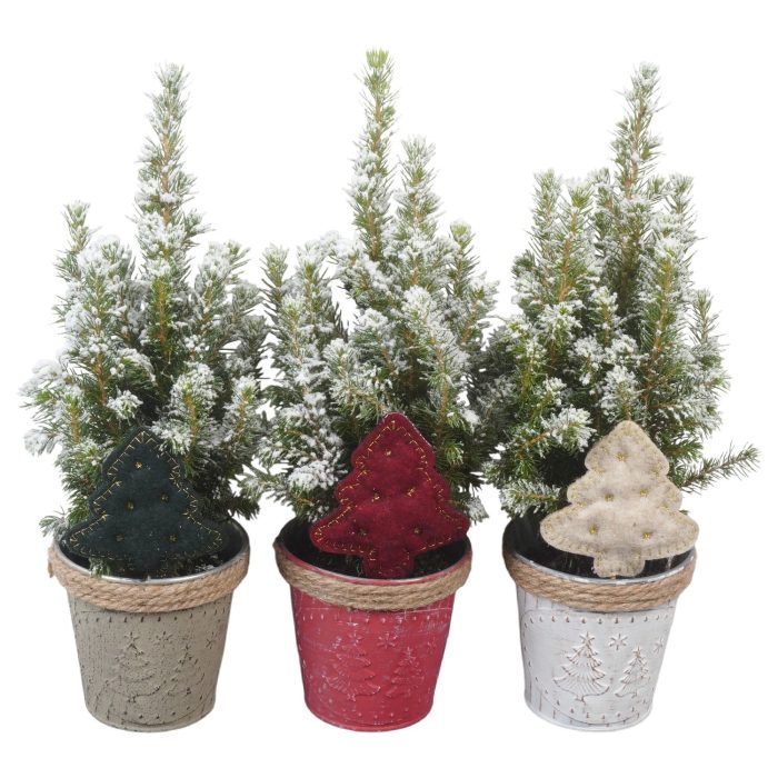 PTK26187 Conica Perfecta met sneeuw in zink mix met decoratie, D 10