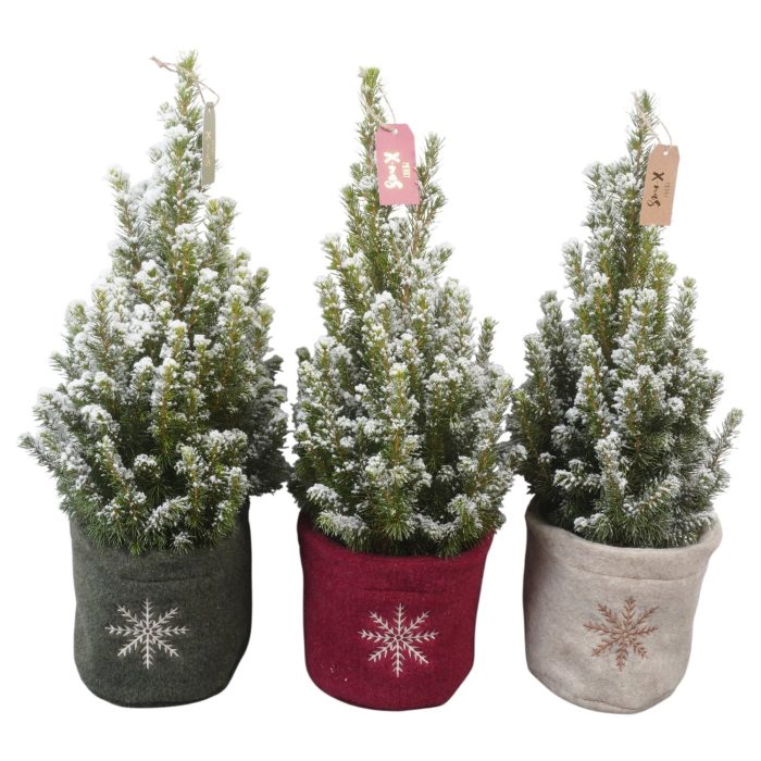 PTK26338 Conica Perfecta met sneeuw in stoffen potcover mix met decoratie, D 13