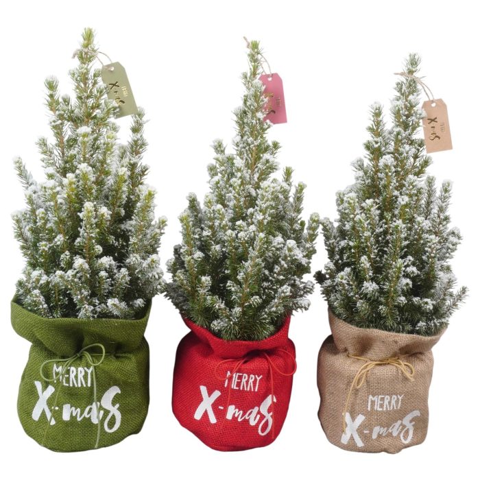PTK26344 Conica Perfecta met sneeuw in jute mix met decoratie, D 13