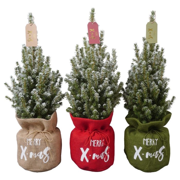 PTK26411 Conica Perfecta met sneeuw in jute mix met decoratie, D 15