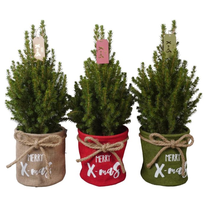 PTK26412 Conica Perfecta in jute mix met decoratie, D 16