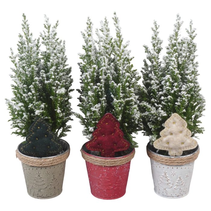 PTK26764 Ellwoodii met sneeuw in zink mix met decoratie, D 10