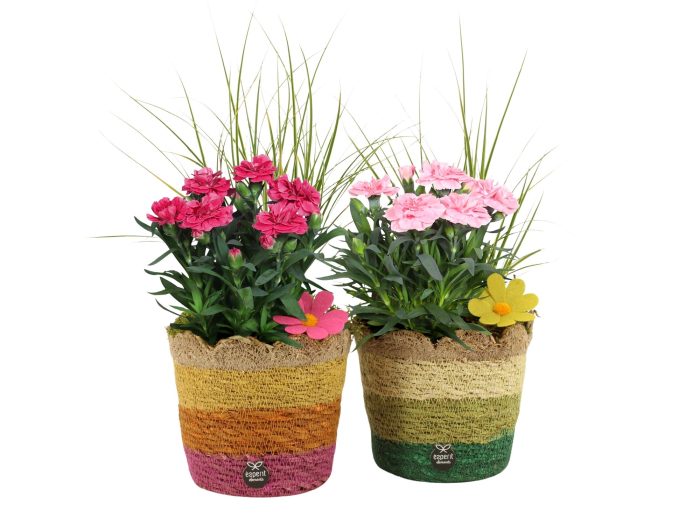 31682: Outdoor summer arrangement, D 13