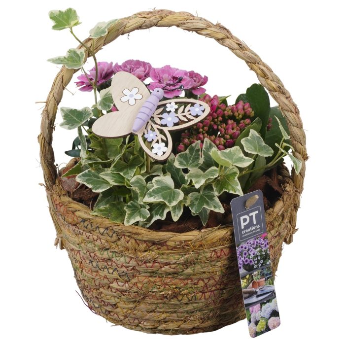 PTPP6951 Arrangement Patio in rieten mand, D 18
