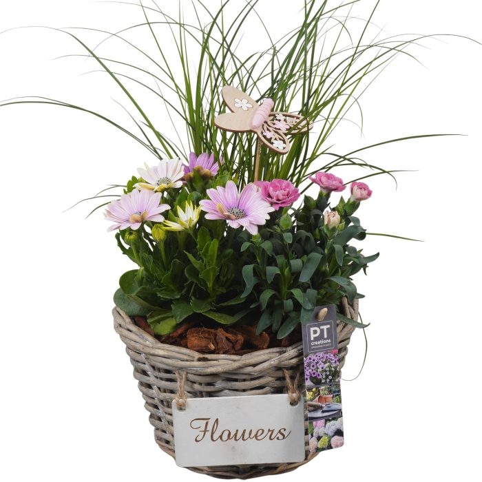 PTPP6958 Arrangement Patio in rieten mand, D 20