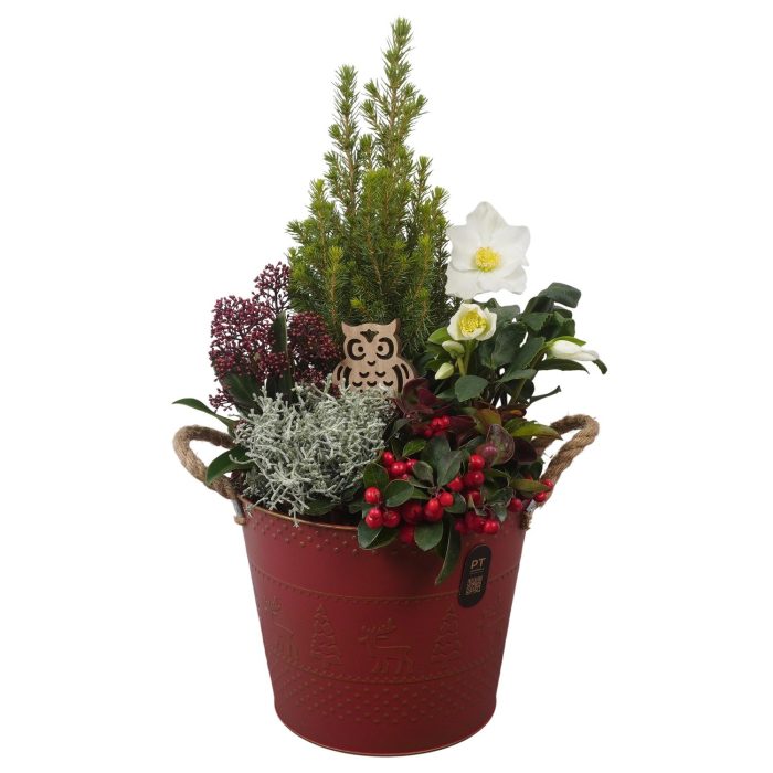 PTWO2885 Arrangement Winter Outdoor in metalen pot, D 24